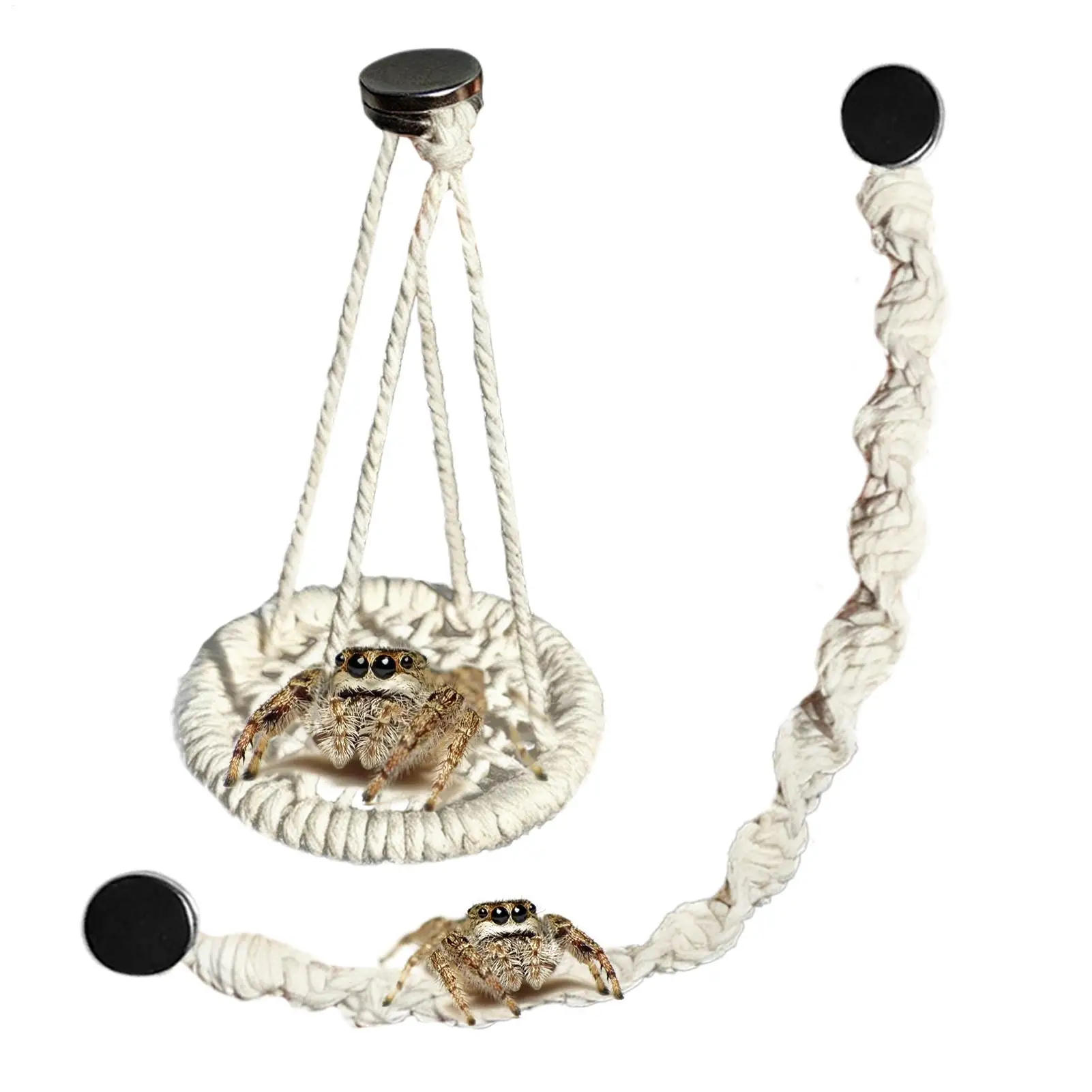 Hammock With Stand - 걸이식 점핑스파이더 브리지, 헤머트크랩 등반용 인클로저