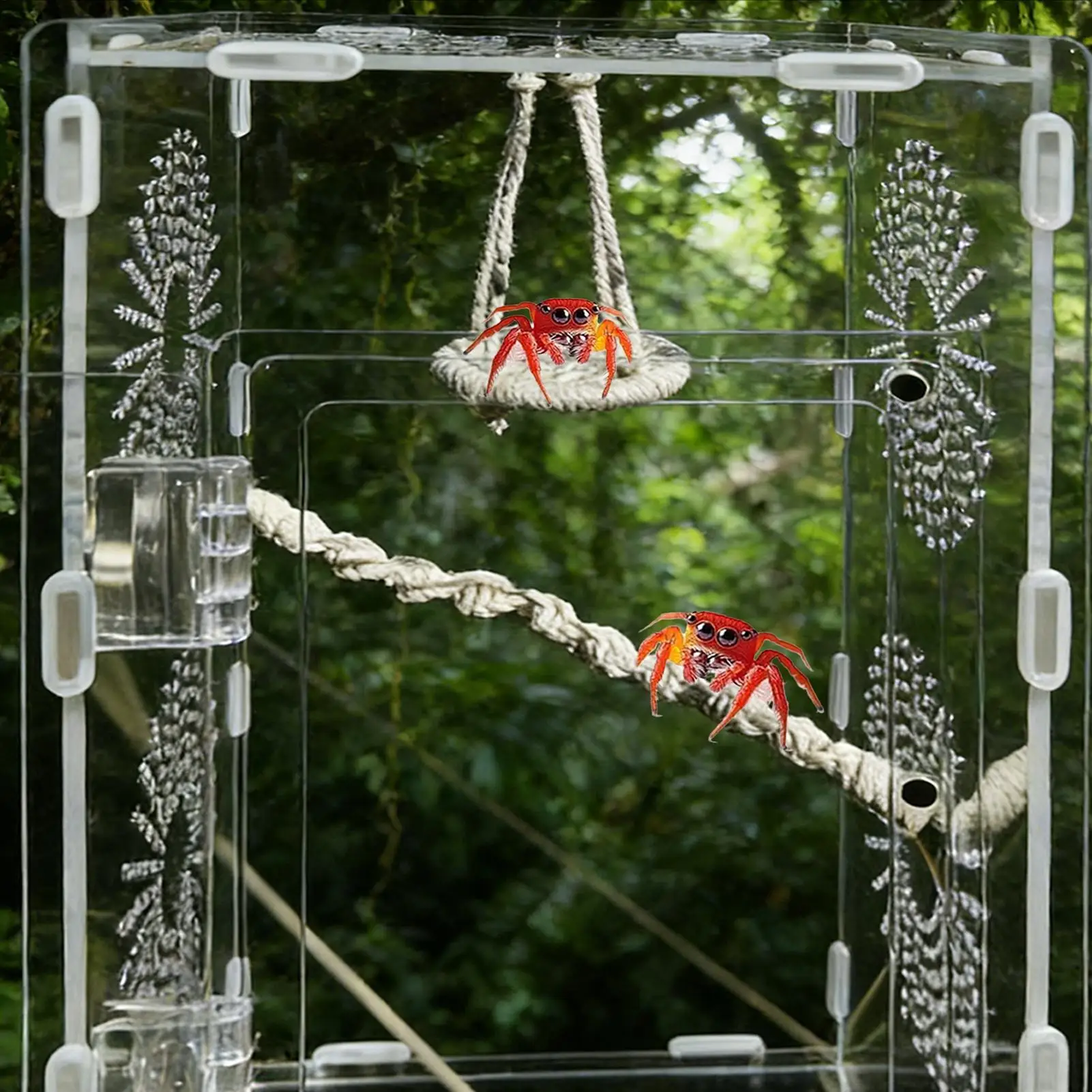 걸이식 점핑스파이더 브리지, 헤머트크랩 등반용 인클로저 - Hammock With Stand 리뷰 및 가격